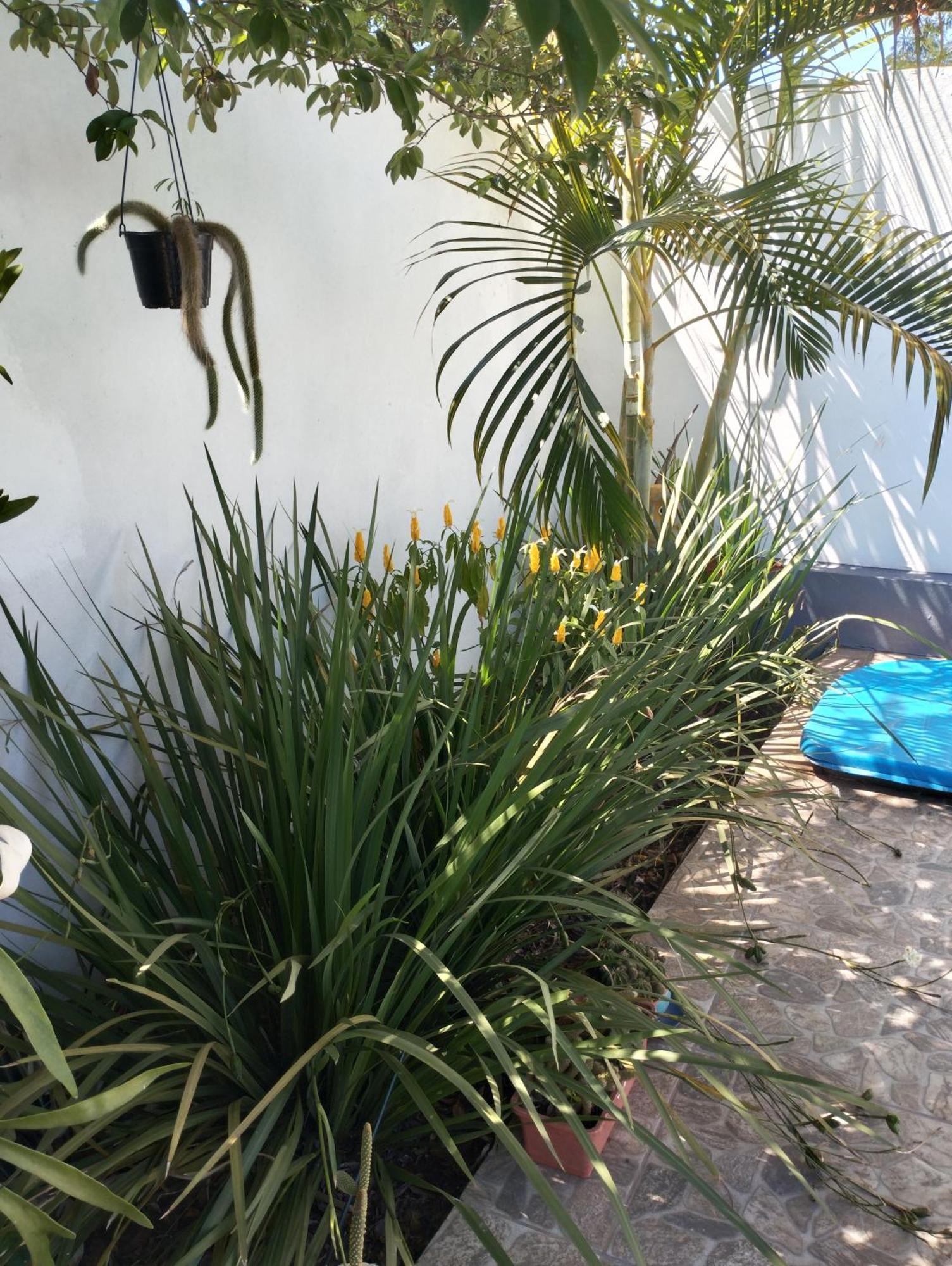 דירות פוארטו איגואסו Brisas Iguazu מראה חיצוני תמונה
